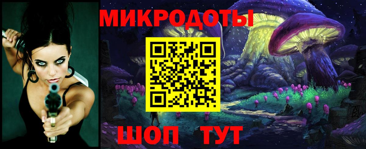 Псилоцибиновые грибы Psilocybine cubensis Борисоглебск